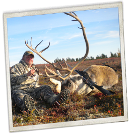 Caribou Hunting