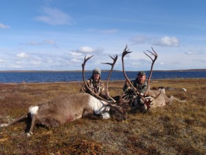 Central Barren Ground Caribou 2010 039