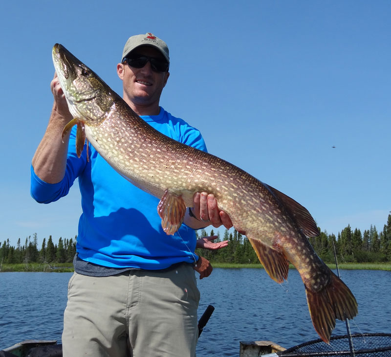 Northern Pike Fishing